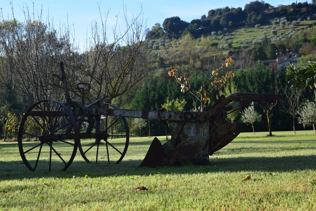 Podere Il Pero Siena Exteriér fotografie